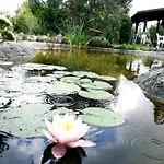 Panna Tanya * Tahitófalu